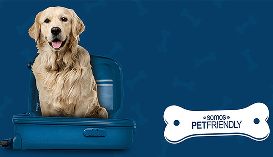 ¿quieres viajar con tu mascota? Hotel ILUNION Romareda Zaragoza